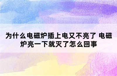 为什么电磁炉插上电又不亮了 电磁炉亮一下就灭了怎么回事